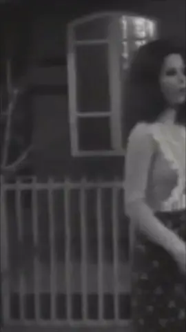 بيني وبينك يا ليل . . #كلاسيك #قديم #تسعينات #fyp #ماجده_الرومي #اكسبلور #viral #بيني_وبينك_يا_هالليل 