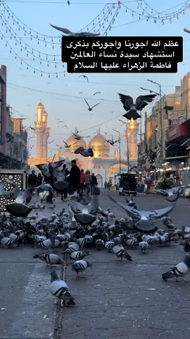 واويلي على الزهراء محمد باقر الفالي #استشهاد_فاطمه_الزهراء_ع_كسر_ظلعها_😭 #وفاة_فاطمة_الزهراء #يافاطمة_الزهراء #يازهراء يازهراء