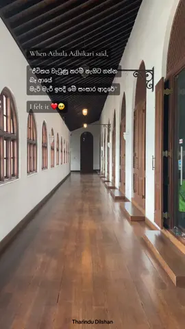 Close your couple of eyes and listen to this part ❤️🥺 #trending #iwasaida_manda #jiwithaya_watuna_tharam_nagita_ganna_ba_aye #viral #tiktok #new #capcut #tharindudilshan7745 #lifewithme433 #wadan #sinhala #status #whatsapp  🥺❤️