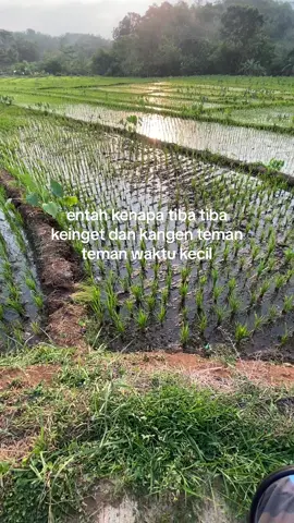 #fyp #xyzbca #jowopride #jowostory #sahabat #waktukecil 😇😇