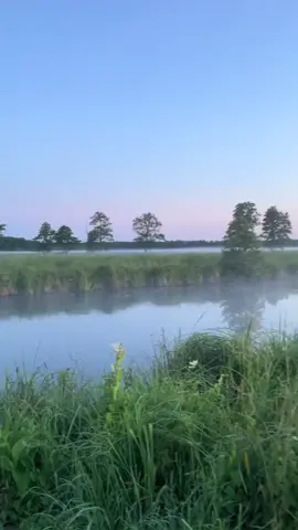 #fup #рек #рекомендации #красиво #фон #нет #activ #ттпустиврек #да #рекпж #fyp #актив #фондлявидео #💗 #природа