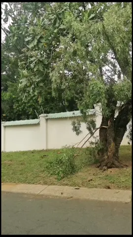 Drive with me in my neighborhood #southafrica #pretoria #johannesburg #mansion #drive #Love 