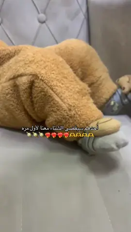 بيبي روضي✨🤎#صغيري_المدلل👶🏻#اكبلورررررر #بيبي #ترندات_تيك_توك 