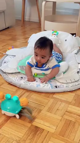 لعبة السلطعون الجميلة 🧒🏼العبة لتمرين عضلات رقبة الاطفال   👶اللعبة تعليم الاطفال الانتباه والتركيز  🧒🏻تدريب الاطفال واظهار قدراتهم الابداعية 👶🏼تدريب الاطفال على التتبع والحركة وايضا لعبة مسلية للاطفال  حساسات جانبية تتحرك بأتجاهات مختلفة  موسيقى مع الحركة انارة جميلة اثناء الحركة  تعمل بالشحن  سعر القطعة 13 الف  والتوصيل 5000 دينار لكل  محافظات العراق 07710103133