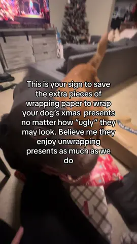 Make sure to take the tags off before wrapping. That way they can just open and enjoy 🤭🤎 #dogsoftiktok #christmas #christmaswrapping #presents #dogpresent #christmasdog #happydog #nicelist #santa #contentcreator #fyp 