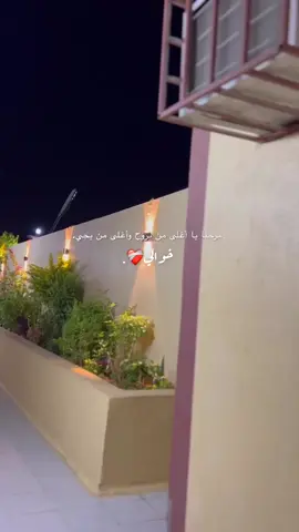 ارحبوا خوالي❤️.#خوالي_يادلالي #خوالي #يوم #اكسبلور #نجران #متابعه #تصويري #العود #مساء_الخير 