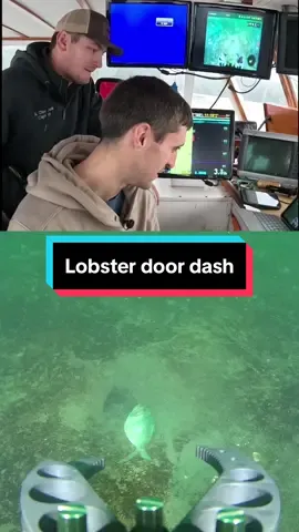 Replying to @michaeldoherty89 Out here door dashing for lobsters! #maine #lobster #fishing #ocean #interesting #fy #LobsterTok #educate #underwaterdrone #fifish #DidYouKnow #educate #learn 