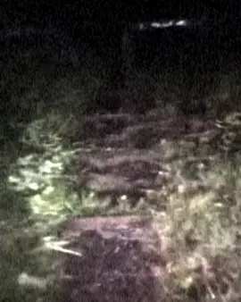 stairway to my heaven ♡ #real#darknature#comfort#horror#itwatches#fyp#fyp#xzyabc 