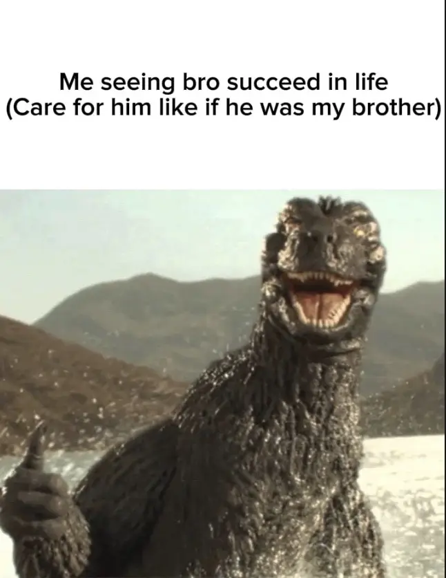 #bro#godzilla#relatable#fyp#slideshow#real#riodejaneiro 