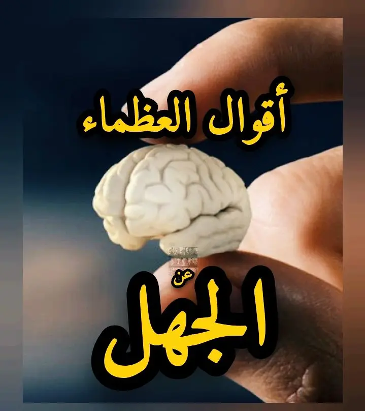 #infoandfacts #عبارات #اقوال #اقوال_وحكم_الحياة #امثال_شعبية #معلومات #اقوال_وحكم_الحياة #عبارات #فلسفة_العظماء #عجائب_وغرائب #كلام_من_ذهب #اقتباسات #كلام_من_ذهب #حكمة_اليوم #اقوال_عميقة #عبارات #فلسفة #فلاسفة #marruecos #maroc #canada #usa #فرنسا🇨🇵_بلجيكا🇧🇪_المانيا🇩🇪_اسبانيا🇪 #مصر #السعودية 