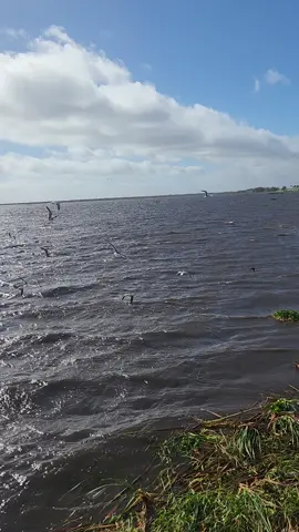 Beautiful day on the Okeechobee lake. #vacation #okeechobeeflorida #FamilyFun #Okeechobeelake 