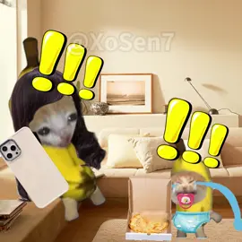 #foryou #catsoftiktok #bananacat #happycat #funnyvideos #cats