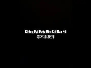 Tên Nhạc: Không Đợi Được Đến Khi Hoa Nở / 等不来花开  Trình Bày: Lỗ Hoài Đức / 鲁怀德 #khôngđợiđượcđếnkhihoanở #等不来花开 #lohoaiduc #鲁怀德 #lyrics #pinyin #vietsub #nhactrungquoc #sharechu #xuhuong  #nhactrungquoctamtrang #xh #marilyn_252912 