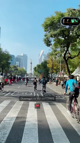 Me encantan estos paseos 😌❤️🙌🏻 #ecobici #cdmx #viral #tiktok #reforma #domingo 