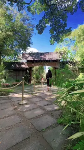 #siemreap #cambodiakingdomofwonder #ilovecambodia🇰🇭 #siemreapvlog #cambodia2023 