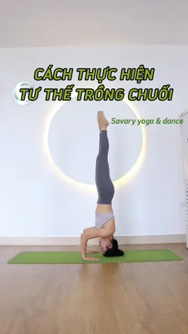 Yoga cơ bản - Cách thực hiện tư thế trồng chuối 3 điểm #yoga #yogacoban #yogatainha #xuhuong #yogachonguoimoibatdau #yogagirl #yogaonline #trongchuoi 