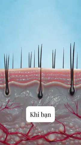 Lí do nên triệt lông thay thế phương pháp cạo và wax. Tuy nhiên nên lựa chọn những cơ sở có thiết bị hiện đại, máy móc công nghệ cao để có hiệu quả. #spabinhtan #nangspa #clinicbinhtan #nangclinic #trietlong #trietlongantoan #trietlongdiodelaser #trietlonglanh 