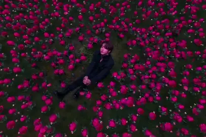 Han Jisung with Roses 🖤 Dome Tour VCR 🤩 #hanjisungedit #hanjisungstraykids #straykids2023 #straykidsdometour2023 
