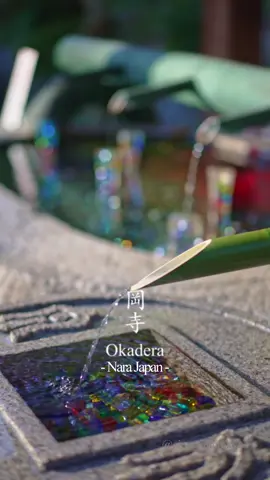 岡寺 Okadera Temple 奈良県明日香村にある日本最初の厄除けのお寺、663年創建。木々の紅葉と境内に設けられた様々な装飾が美しいお寺です。 Founded in 663, Japan's first temple to ward off evil spirits, located in Asuka Village, Nara Prefecture. It is a beautiful temple with autumn leaves on the trees and various decorations set up in the precincts. #岡寺 #岡寺の花手水 #わたしは奈良派 #奈良紅葉 #紅葉 #okadera #visitjapan #visitjapanjp #japantravel 