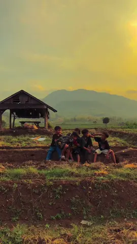 kangen ker budak nya🍃 #fyp #senja #sore #masakecil #pedesaan #pemandangan #desa #desa #fypage #penanggapan #dejavu #sawah #tentangkita 
