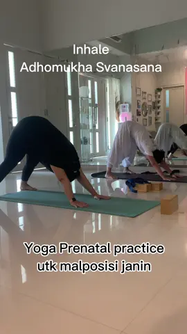 Salah satu Yoga Prenatal practice utk malposisi janin #yogaprenatal  #yogaclass  #yogahamil  #yogahamilsurabaya 