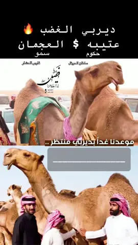 #دويتو مع @فيصل آبا الجلادا #fyp #فارس_الحشار🔥 #سلطان_الحويقل #فرديات_مزاين_الابل #جخدب🔥🥇 #مجلس_الصياهد #صيهد_منيف #الموت_الحمر #العجمان_يام_ال_مره_وادي_العجمان #عتيبه_روق_برقا_الهيلا 
