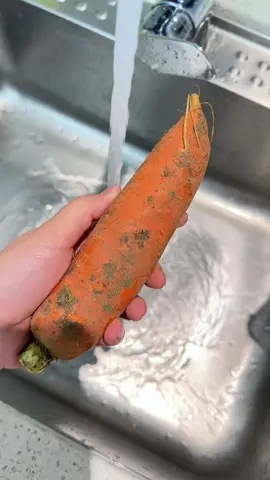 钢丝球抹布又升级了，这个#钢丝洗碗布 清洁能力嘎嘎强!关键是不伤涂层好清理啊!#抹布 #不沾油厨房抹布 #厨房好物#LearnOnTikTok 