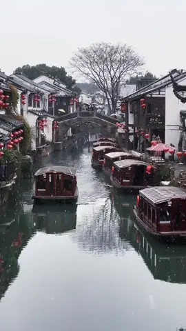 Cuối cùng tuyết đã roei ở Tô Châu rồi! Năm nay dôdng muộn, nhưng mình đã đợi đc đến khoảnh khắc này! #tochau #dulichtochau #shuzhou #hangzhou #dulichhangchautochau #dulichtrungquoc #tourtrungquoc #healing 