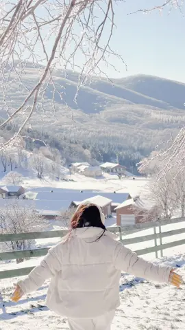 📍Daegwallyeong Sheep Farm  Hoenggye-ri,Daegwallyeong-myeon, Pyeongchang-gun,Gangwon-do 강원 평창군 대관령면 횡계리 #winterkorea#salju#daegwallyeongsheepfarm#겨울여행#대관령양떼목장#강원여행 