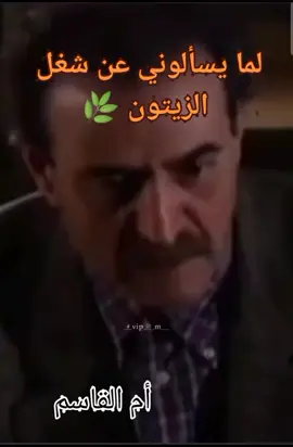 #متى يخلص حواش زيتون 