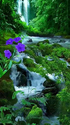 The view under the waterfall #beautiful #waterfall #nature #flowers #scenery 