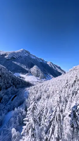 Just fly 🚀❄️ #fpv #drone #mountain #snow #nature #winter #fpvdrone #dronevideo #droneshots #nature #gopro #dji 