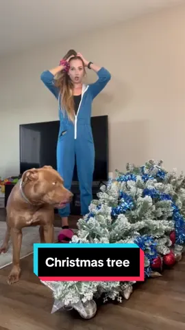 #christmastree #dogsoftiktok #dogs 