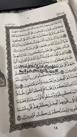 بسم الله الرحمن اسلامش😂🦦 #اكسبلور #الشعب_الصيني_ماله_حل😂😂 #اغوى_كويتيين🇰🇼 #مالي_خلق_احط_هاشتاقات #جامعة_الكويت #كلية_الشريعة #كيفان #ريأكشن #الملكة_شوق #اسلامش #شوق_ملكه_جمال_برلين 