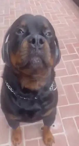 #крутяк #мики #милашечка #крутой 