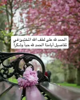 لحمدللّٰه  ‏لينعم قلبك بالرضا  ‏وقُل الحمدلله  ‏حتى يتسع صدرك للحياة  ‏وقل الحمدلله  ‏فإن بها تطيب الأحوال..