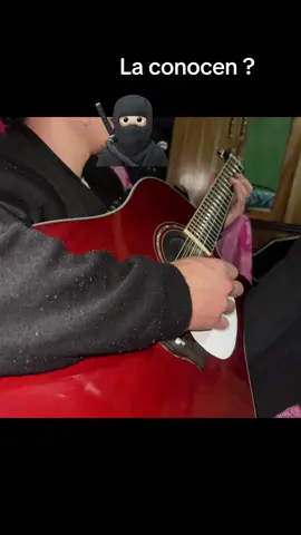 Leve leve  @Calibre50Of @Edén Muñoz @Armando Ramos #aunqueahoraestesconel #talentotiktok #guitarra #docerolatakamine 