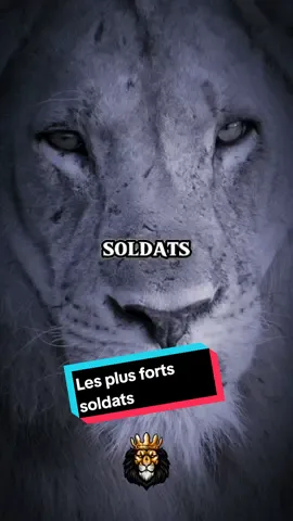 Dieu donne ses plus durs combats à ses plus #fort soldats... . . #pourtoi #pourtoii #citation #bienetre #citationdujour #motivation 