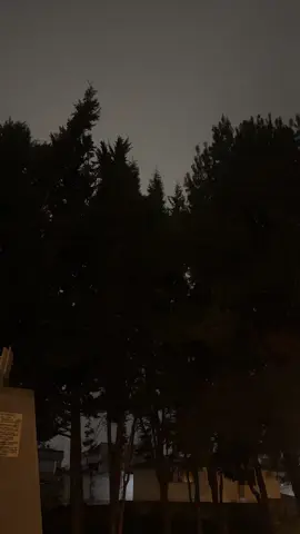 Diermete mi pequeño #tajamar #colegiotajamar #duermete #cristmas🎄 #cristmas #virgendeguadalupe #inmaculadaconcepcion #fyp 