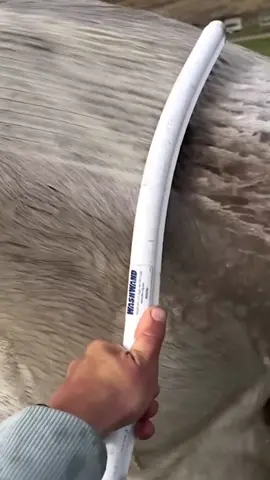 satisfying #asmr #satisfying #trending #oddlysatisfying #satisfyingvideo 