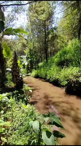 #landrover #landroverseries3 #landroverclassic #landroverlife #landroverexperience #landroverheritage #4x4car #adventuremobile #overland #onelifeliveit #landroverphotoalbum #landroverseriespics 