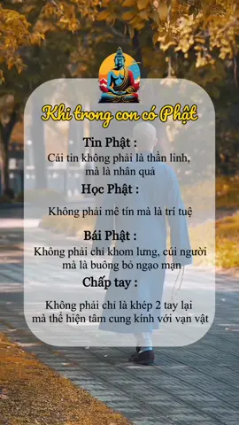 Khi trong con có Phật#nammobonsuthichcamauniphat🙏 #nammoadidaphat🙏🙏🙏 