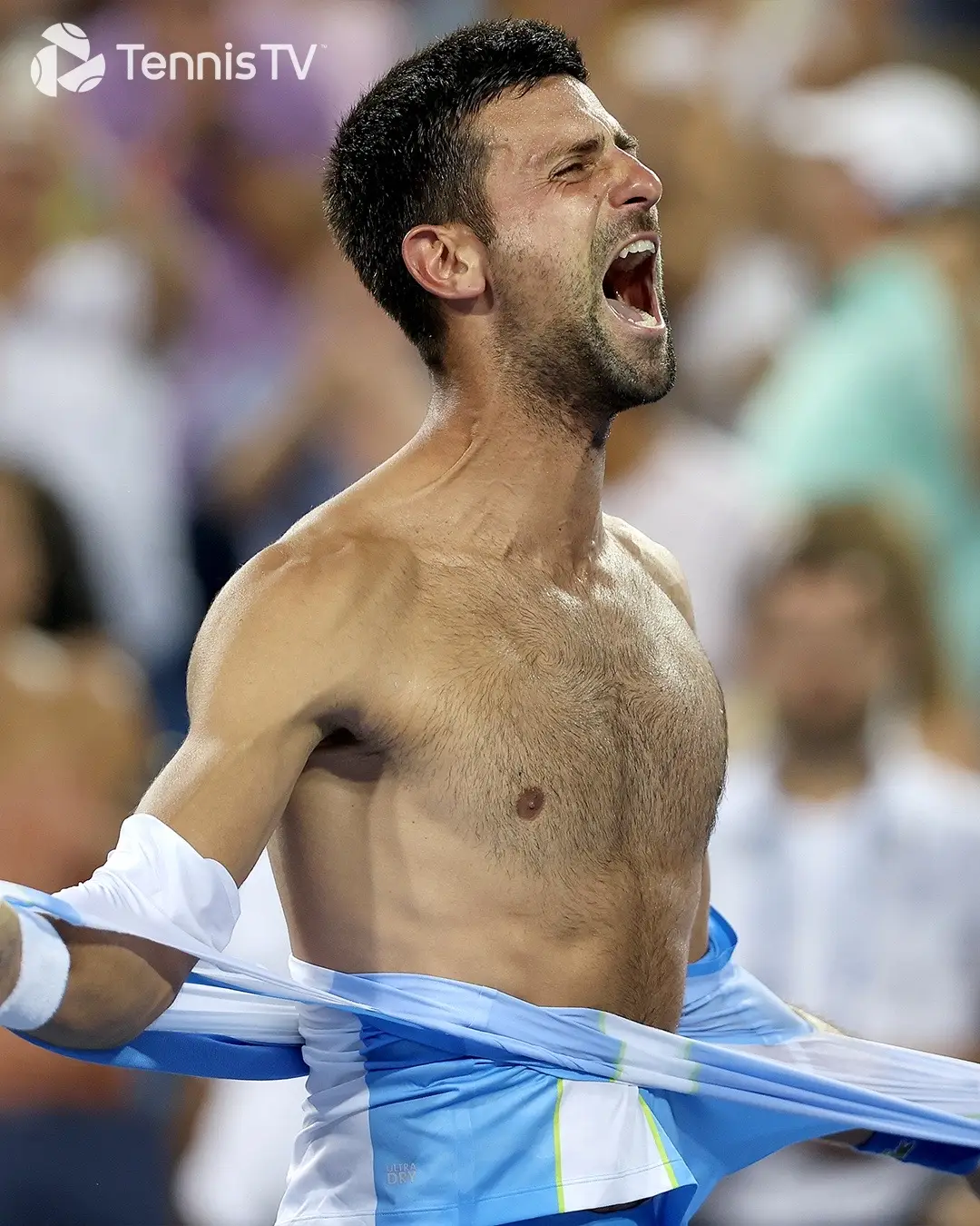 You asked…the best photos of the 2023 season Part 2! 😮‍💨 #tennis #tennistv #atptour #sinner #alcaraz #djokovic #federer 