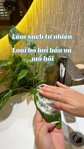 Vấn đề mà chị em ai cũng ngại nhắc mà k nhắc k được #xuhuong #goclamdep #beauty #fypシ 