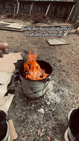 🕊️