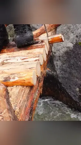 Build a Survival House in the Forest besides the Stream #bushcraft #shelter #build #building #builder #outdoor #Outdoors #survival #camping #bushcrafting #camping 