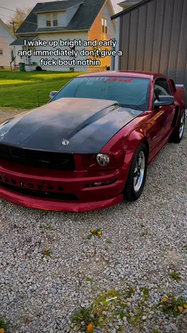 Whos feeling opinionated? #motionraceworks #60ftkilla #povertypack #carsoftiktok😈 #fypシ゚viral #dssracingpistons #nitrousexspress #mustanggt #manleycrankshaft #mustanglifestyle #letstalkaboutit🖤❤️ 