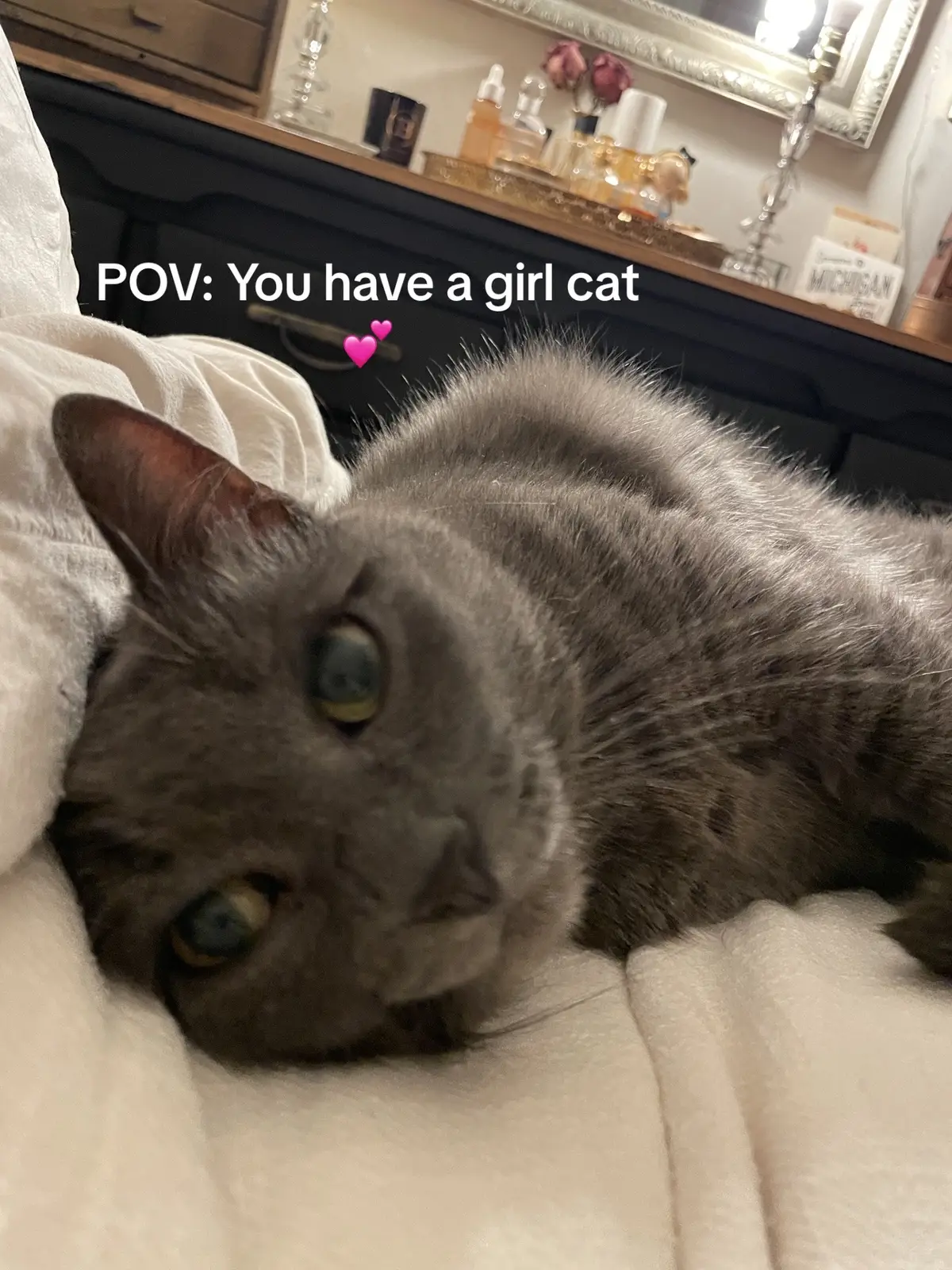 Lucy core 🫶 #girlcat 