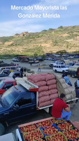 Mercado Mayorista las González Mérida Venezuela #marketing #ventas #mayor #detal #publicidad #cebollas 
