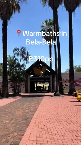 The water in majority of the pools is as the word implys, very warm. My favourite was the artificial beach, I love the waves and the cool temperature of the water.  #SAMA28 #warmbaths #bela #foreverresorts #fyp #limpopo #december #affordablevacations #outting #swimming #adultgames #trending #weekendaway 
